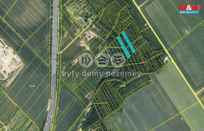 Prodej, Les, Držovice