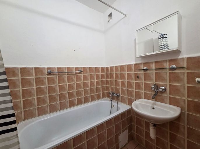 Pronájem, Byt 2+1, Nová Role