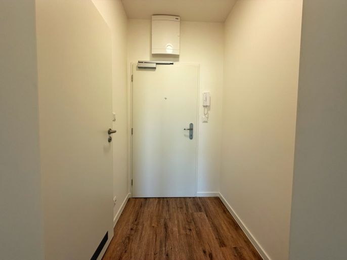 Pronájem, Byt 1+kk, Brno