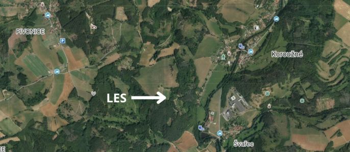 Prodej, Les, Koroužné