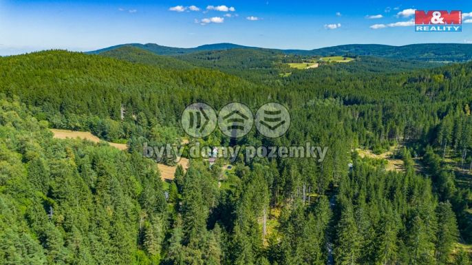 Prodej, Chalupa, Benešov nad Černou