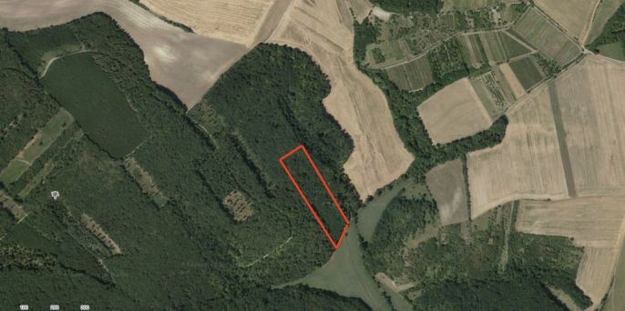 Prodej, Les, Klobouky u Brna