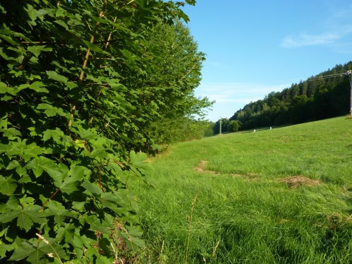 Prodej, Pozemek k bydlení, Trutnov