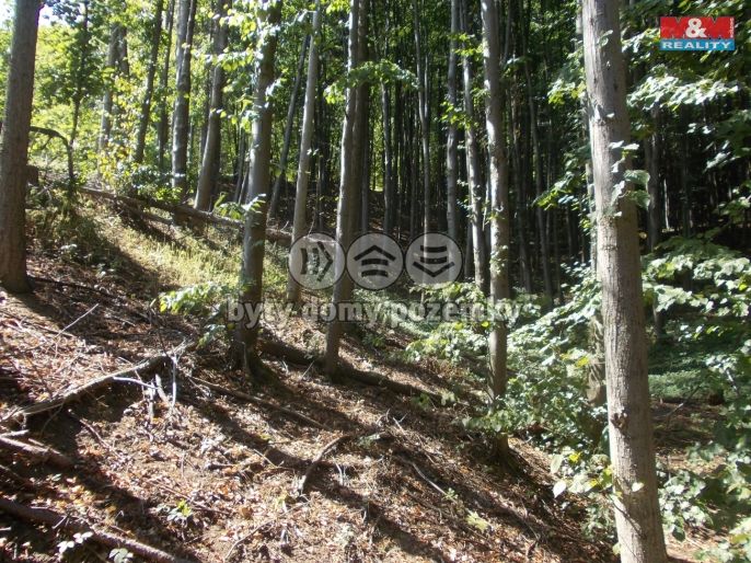 Prodej, Chata, Pstruží