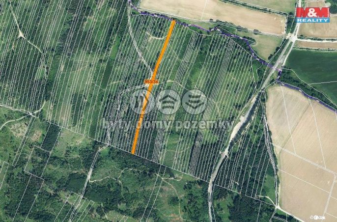 Prodej, Les, Nová Hradečná