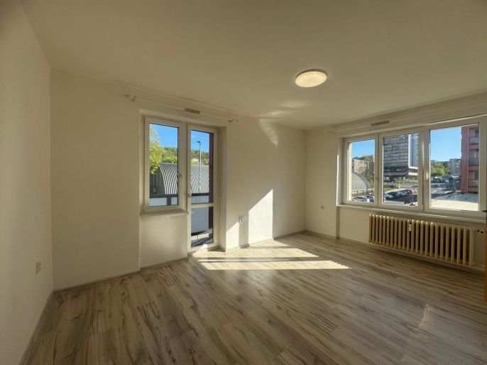 Pronájem, Byt 3+1, Litvínov