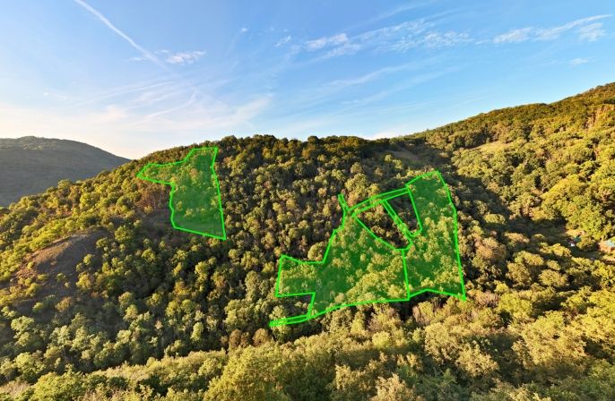 Prodej, Les, Ústí nad Labem