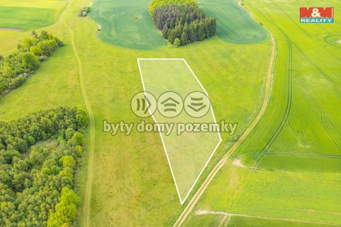 Prodej, Louka, Lešetice