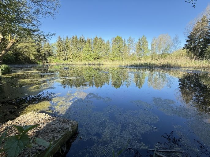 Prodej, Vodní plocha, Rychnov nad Kněžnou