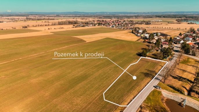 Prodej, Pole, Dubné