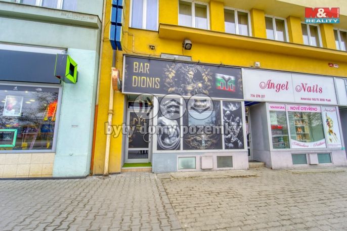 Pronájem, Obchod a služby, Plzeň