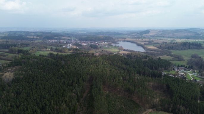 Prodej, Les, Mrákotín