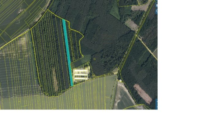 Prodej, Les, Městec Králové