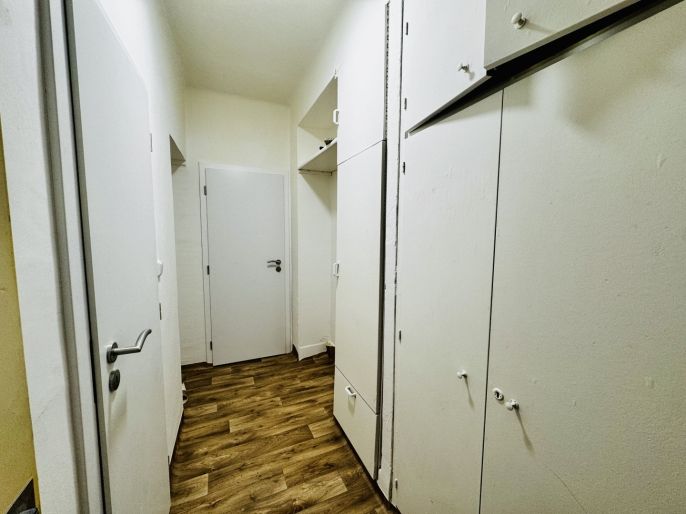 Pronájem, Byt 3+kk, Klecany