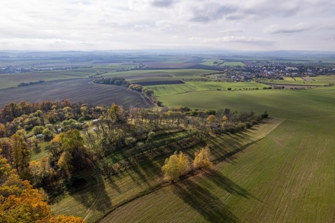 Prodej, Ovocný sad, Kostelec u Holešova