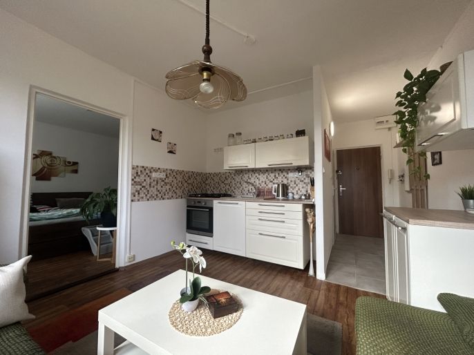 Pronájem, Byt 1+1, Ústí nad Labem