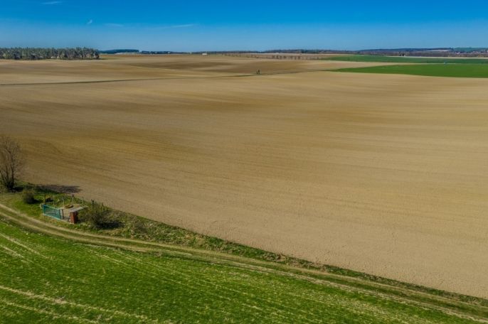 Prodej, Pole, Benátky nad Jizerou
