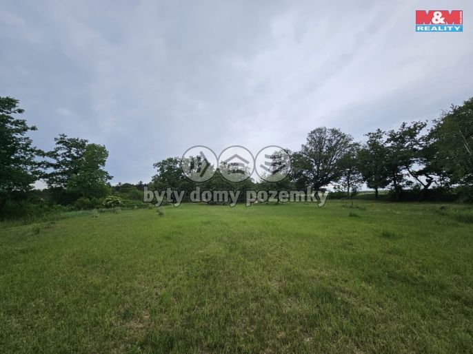 Prodej, Les, Tuřice