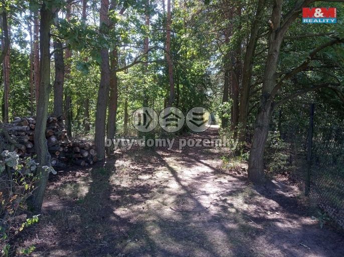 Prodej, Pozemek k bydlení, Tišice