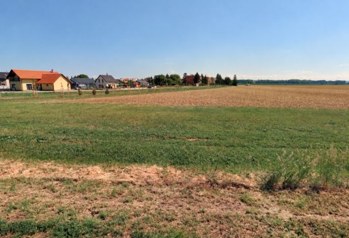 Prodej, Pole, Městec Králové