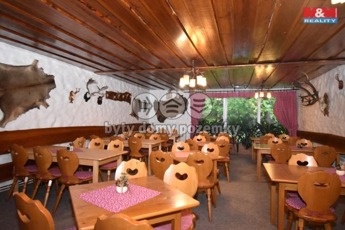 Prodej, Hotel, penzion, Bílá