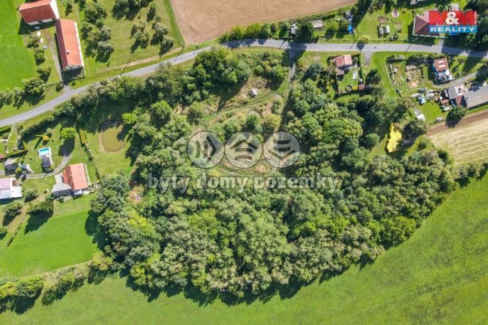 Prodej, Provozní plocha, Janovice nad Úhlavou