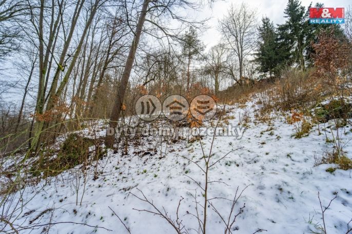 Prodej, Zahrada, Plasy