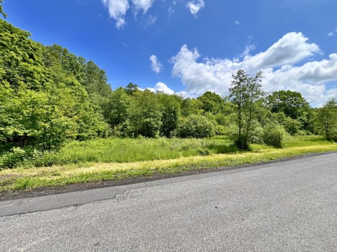 Prodej, Vodní plocha, Skalice u České Lípy