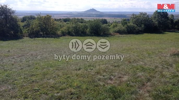 Prodej, Louka, Jenčice