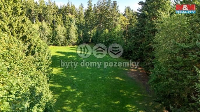 Prodej, Les, Petrovice u Sušice