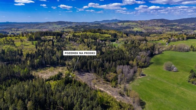 Prodej, Les, Železný Brod