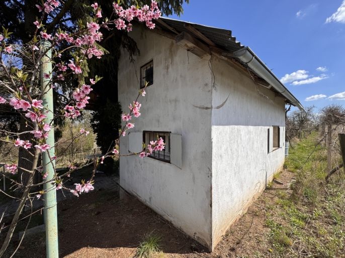 Prodej, Chata, Hrušovany u Brna