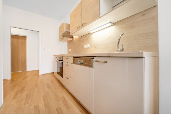 Pronájem, Byt 1+1, Plzeň