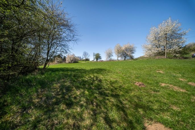 Prodej, Pozemek k bydlení, Břasy