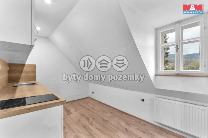 Prodej, Hotel, penzion, Rokytnice nad Jizerou