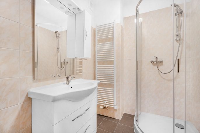 Pronájem, Byt 1+kk, Plazy