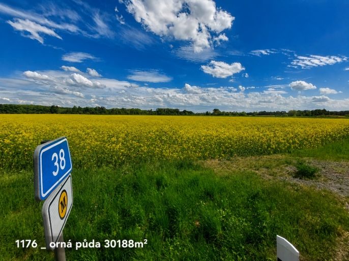 Prodej, Ostatní, Pňov-Předhradí