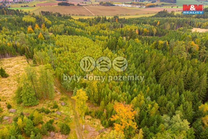 Prodej, Les, Černíkov