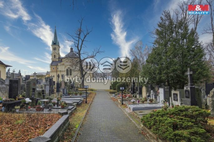 Prodej, Ostatní, Plzeň