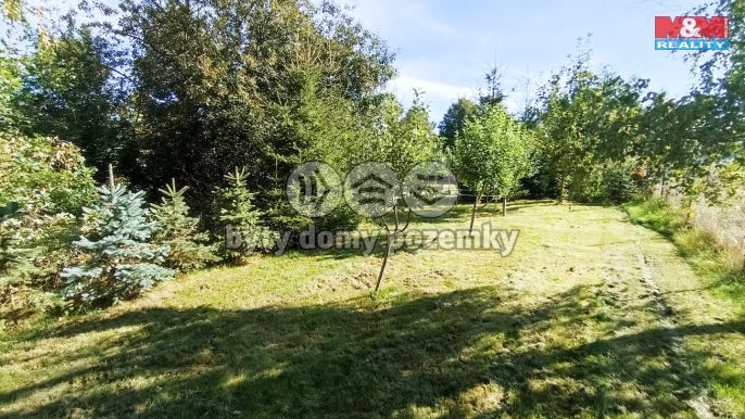 Prodej, Chalupa, Brandov