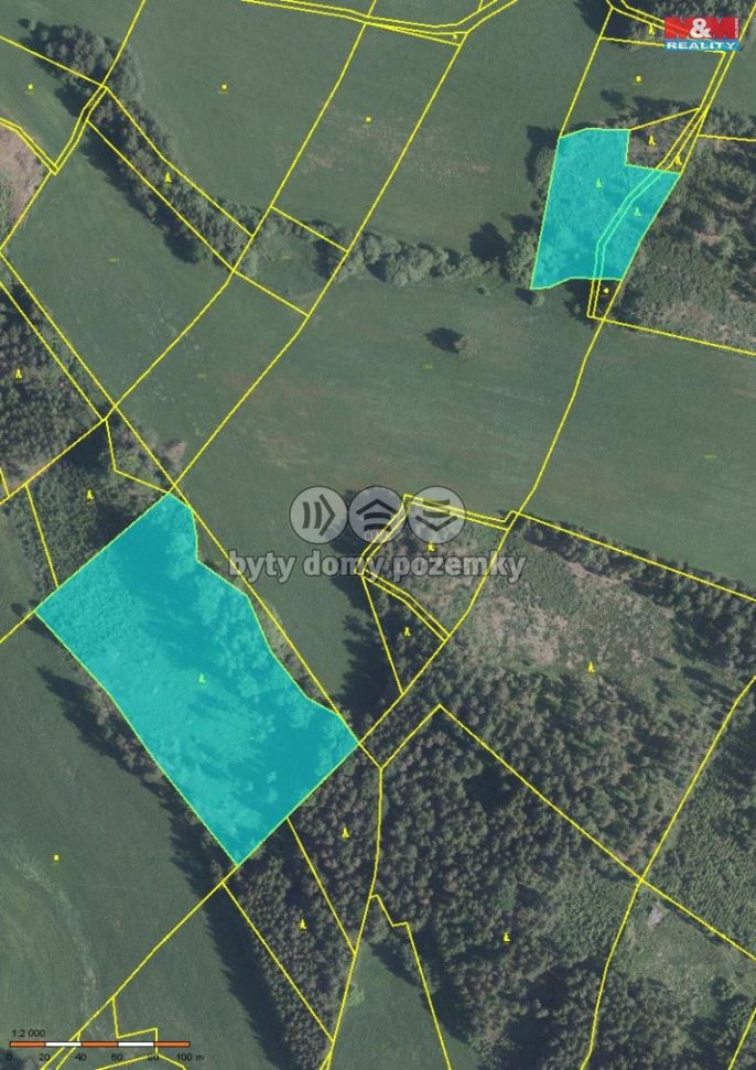 Prodej, Les, Stará Paka