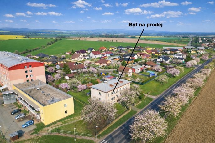 Prodej, Byt 3+1, Opočno