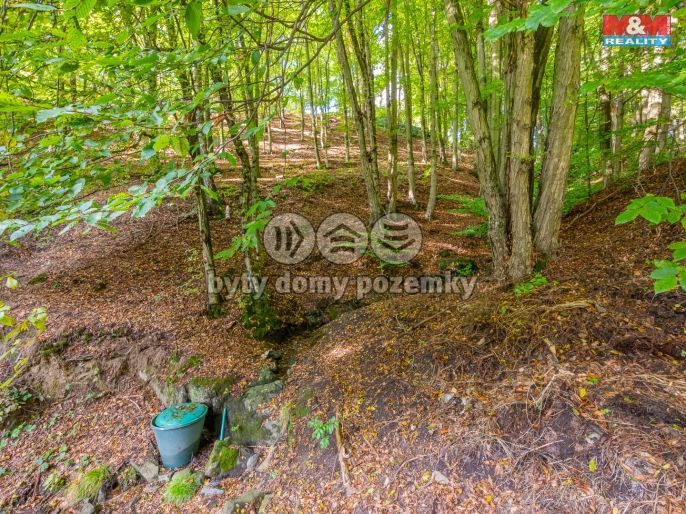 Prodej, Chata, Kaliště