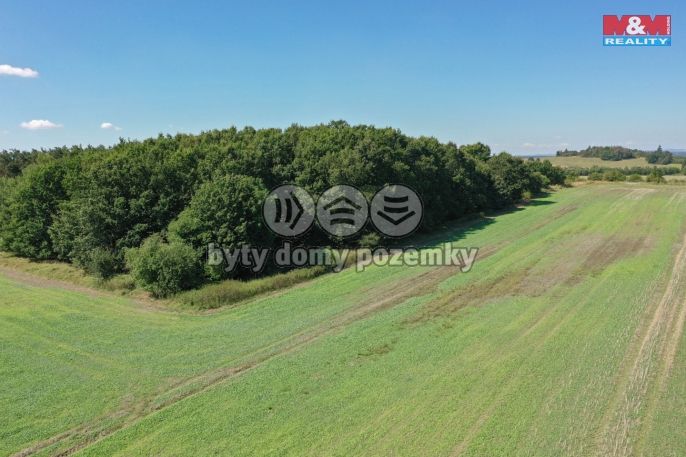 Prodej, Pole, Plzeň