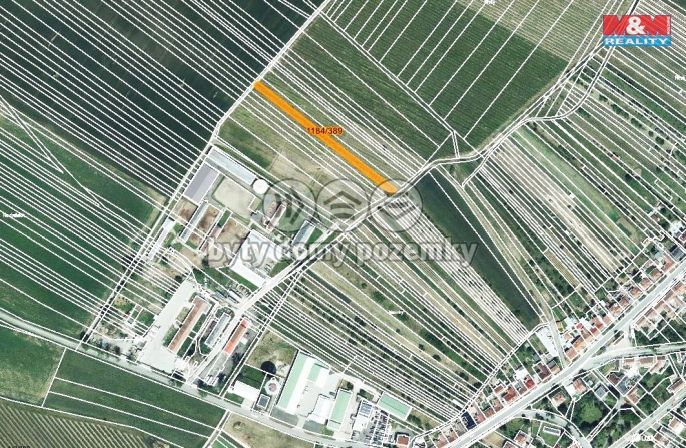 Prodej, Vinice, Týnec