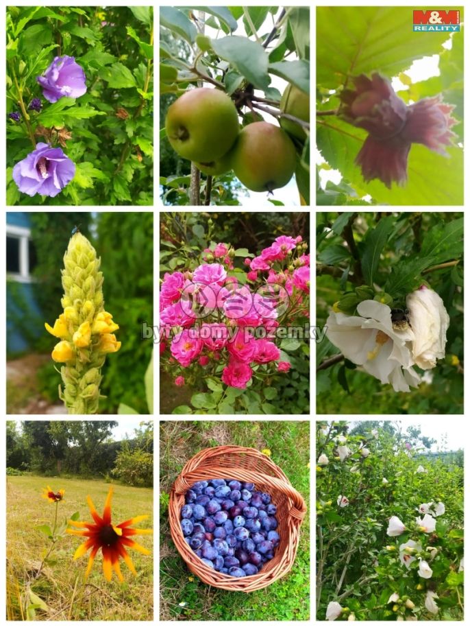 Prodej, Zahrada, Terezín