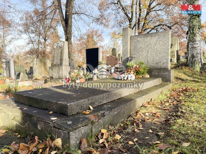 Prodej, Ostatní, Plzeň