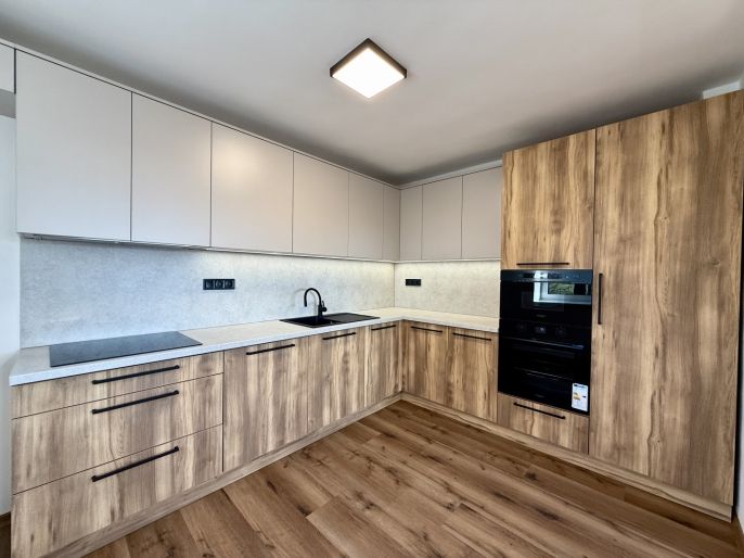 Pronájem, Byt 3+kk, Hať