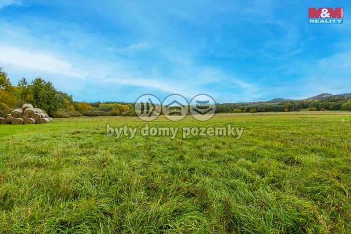 Prodej, Louka, Jestřebí