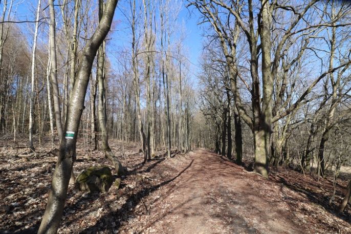 Prodej, Chalupa, Žalany